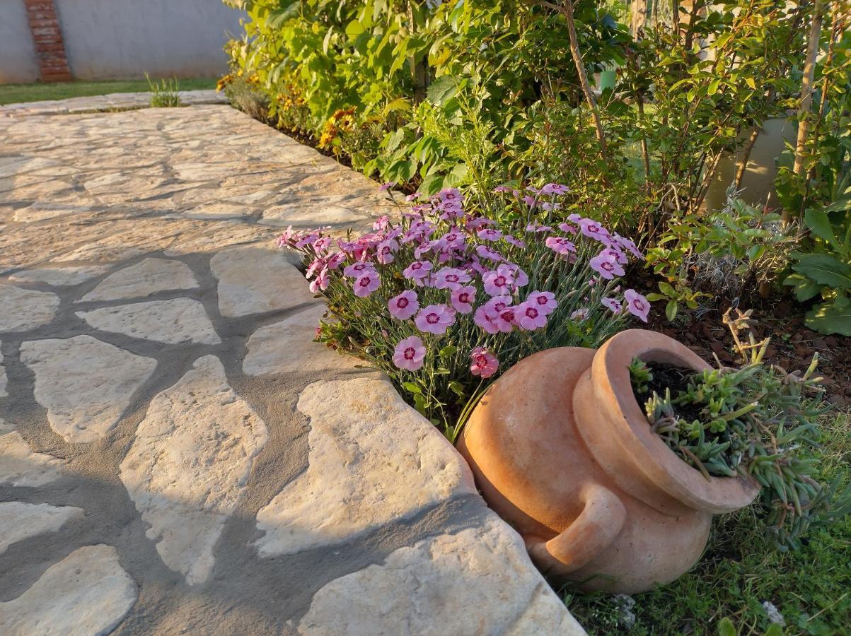 Apartmani Bernarda Poreč Exterior foto